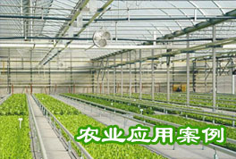 農(nóng)業(yè)應(yīng)用案例：水源熱泵機(jī)組助力恒溫大棚種植，更低運(yùn)行成本